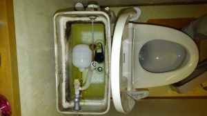 KIMG0559